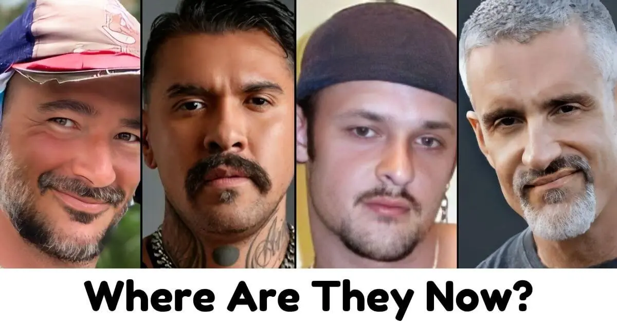 Former gay adult performers and what they are doing now in different fields