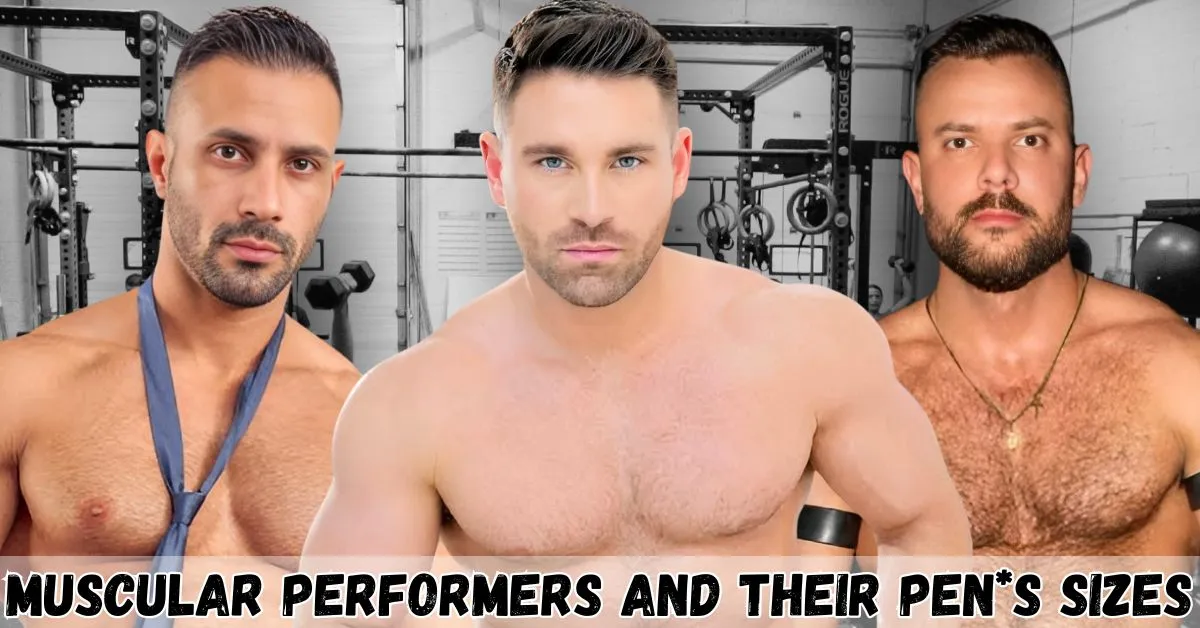 Muscular gay adult performers and their complete body statistics and measurements